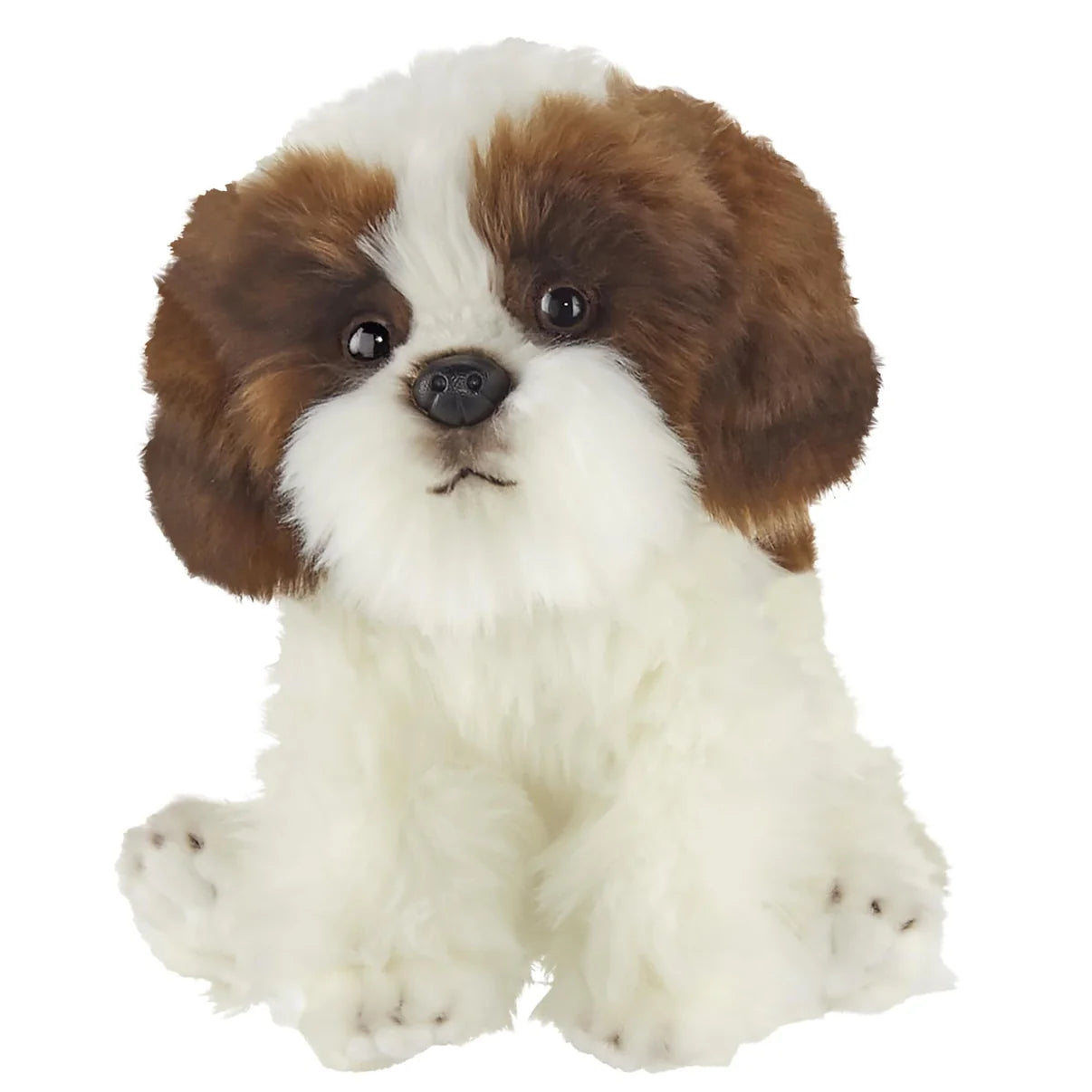 DOG - Bentley Shitzu