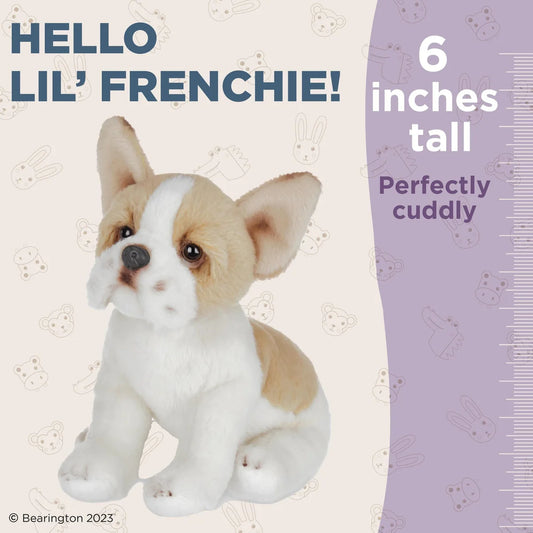 DOG - Lil' Frenchie