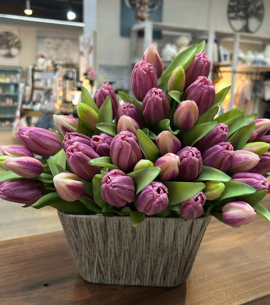 12” Fresh Touch Tulip - Plum Formosa