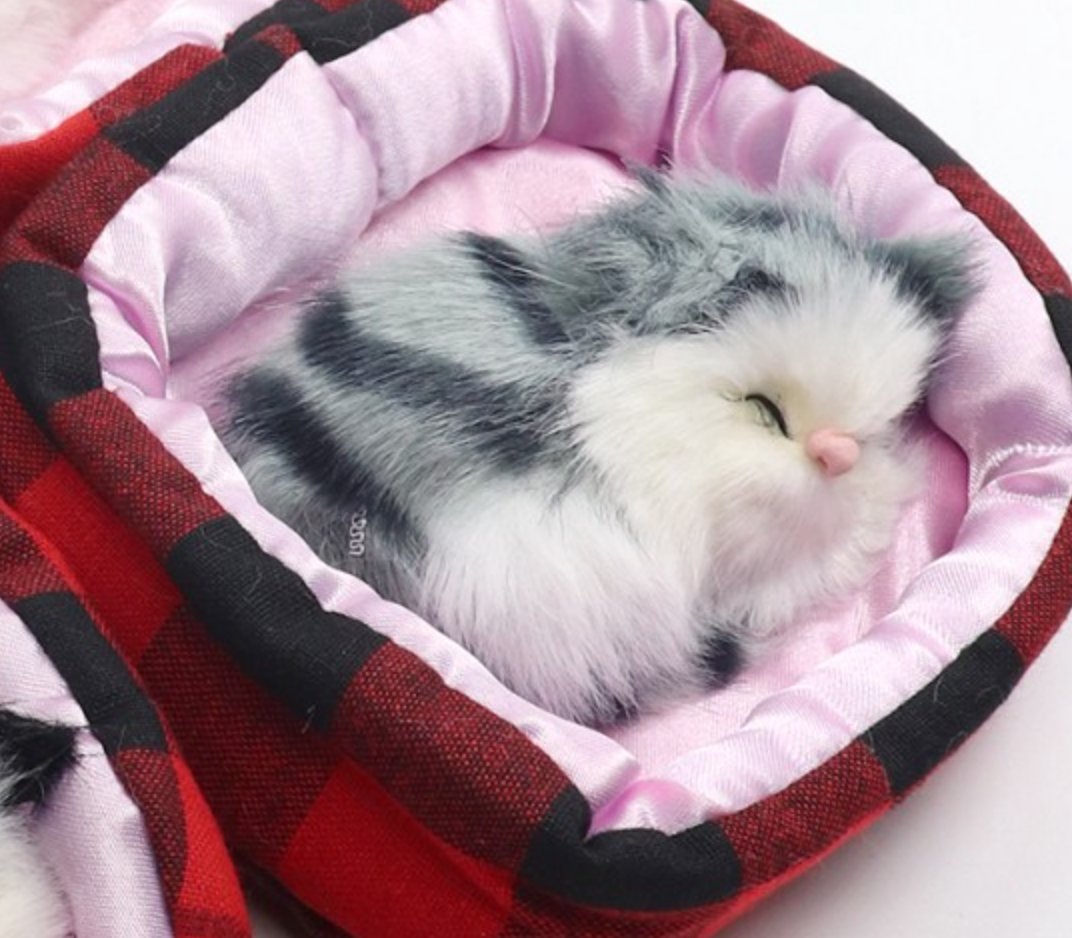 Sleeping Kitty In Bed