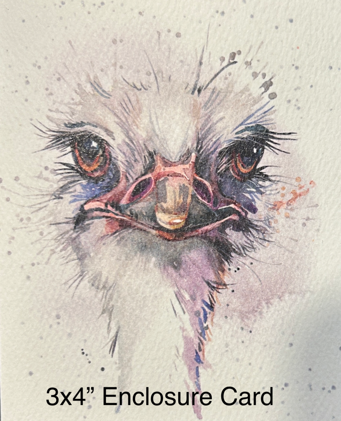 Close-up illustration of an ostrich's face on a textured background with '3x4" Enclosure Card' text.