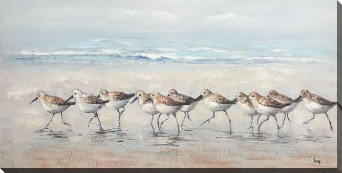 Parading Through 56 x 28. CR4163