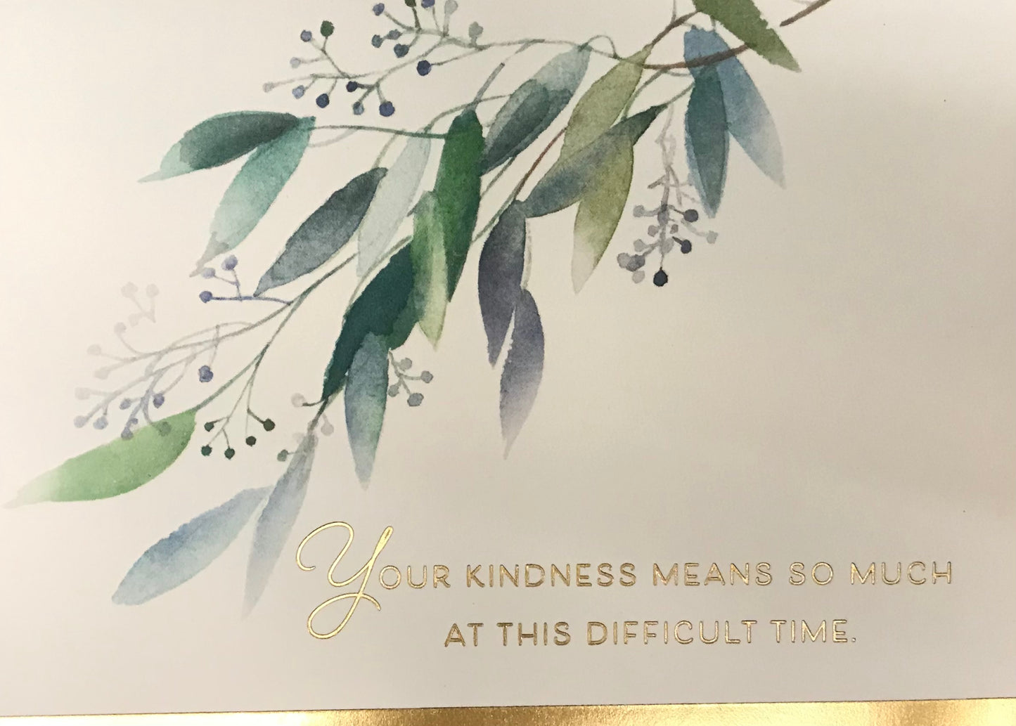 Your Kindness / Sympathy