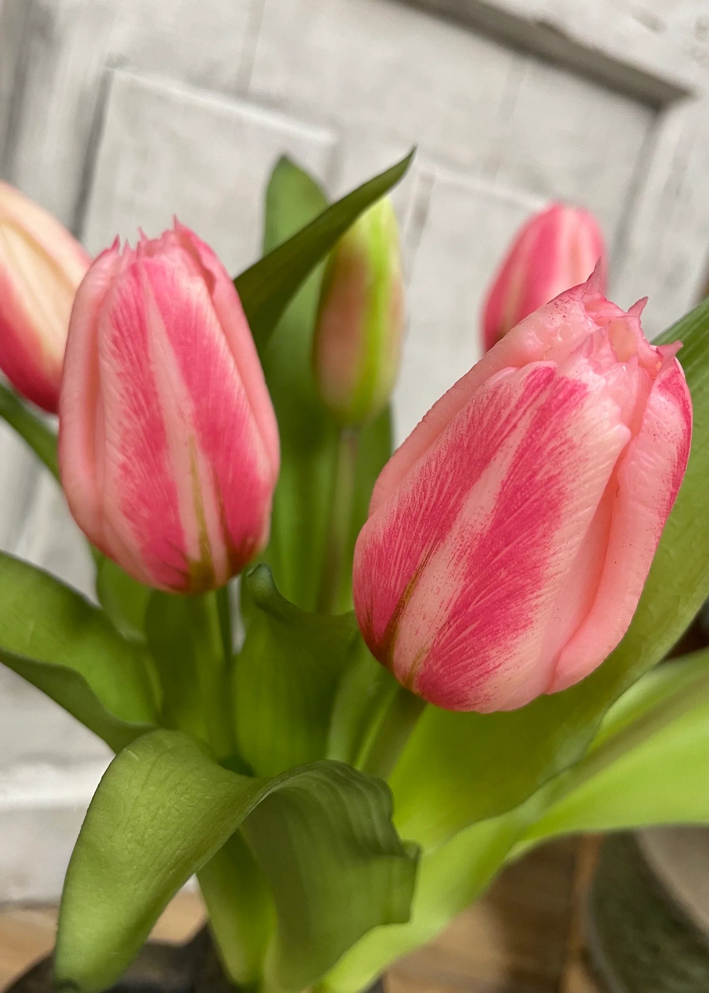 12” Fresh Touch Tulip Bundle - Cotton Candy Pink Formosa