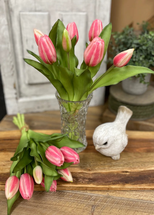 12” Fresh Touch Tulip - COTTON CANDY PINK FORMOSA