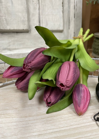 12” Fresh Touch Tulip Bundle - Dark Plum Formosa