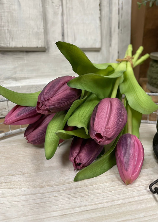 12” Fresh Touch Tulip - DARK PLUM FORMOSA