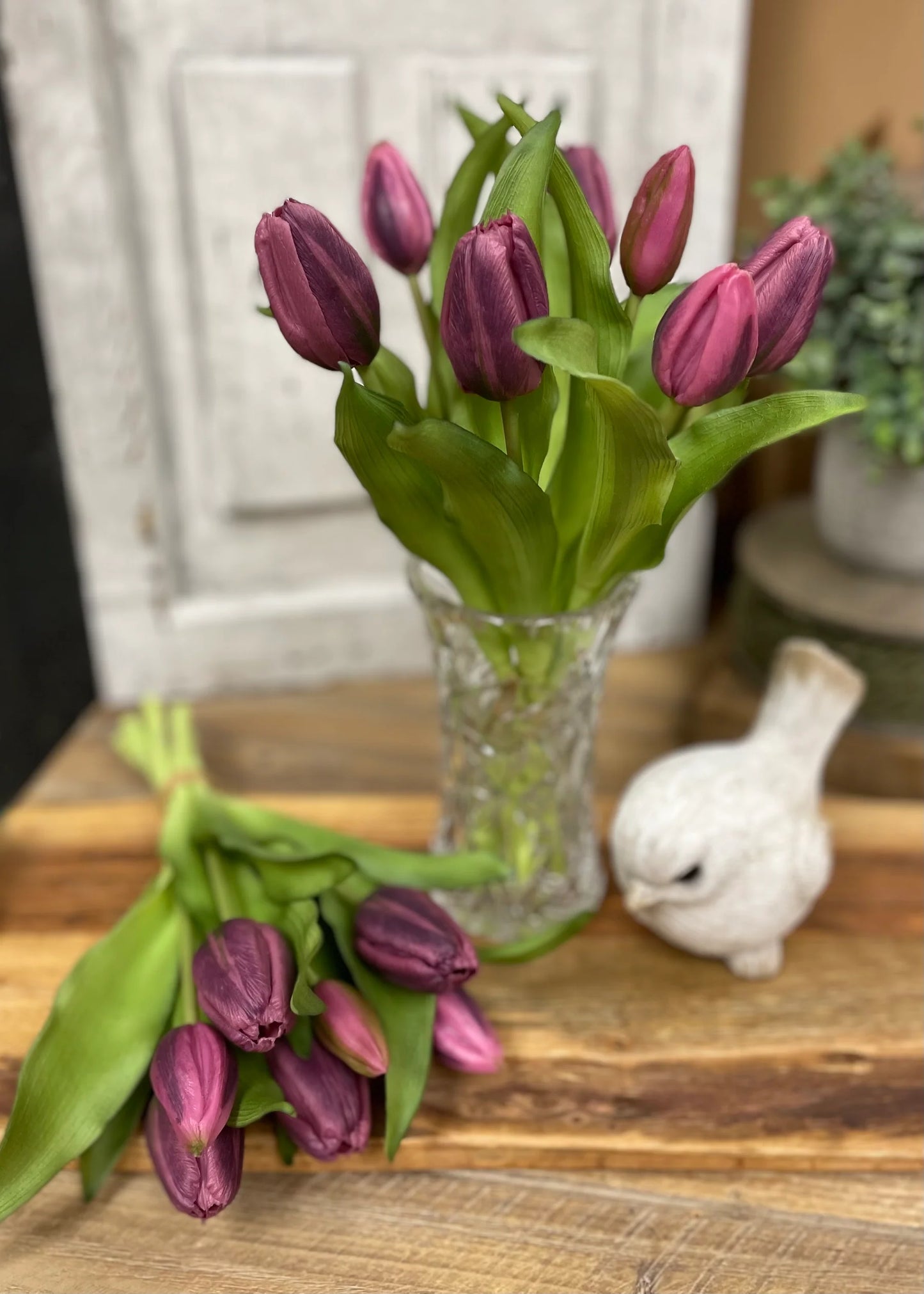 12” Fresh Touch Tulip Bundle - Dark Plum Formosa