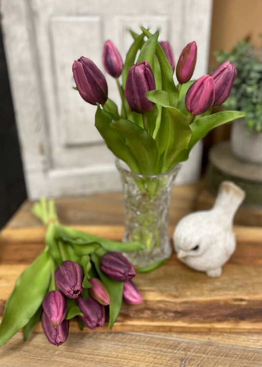 12” Fresh Touch Tulip - DARK PLUM FORMOSA