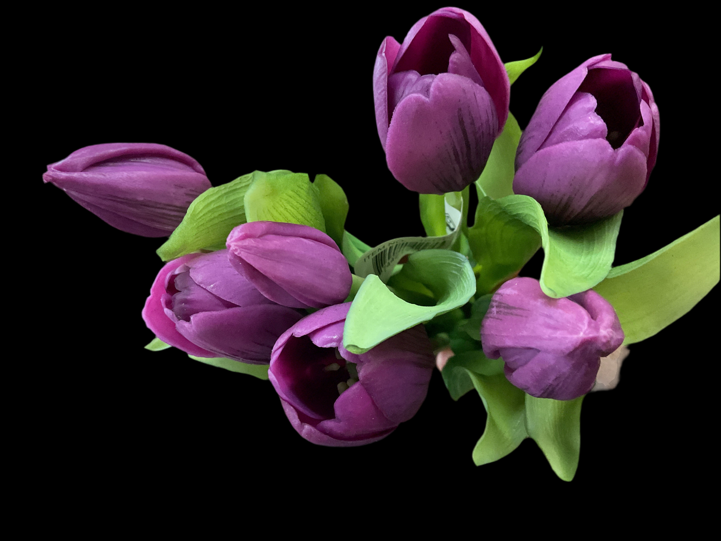 12” Fresh Touch Tulip - Purple