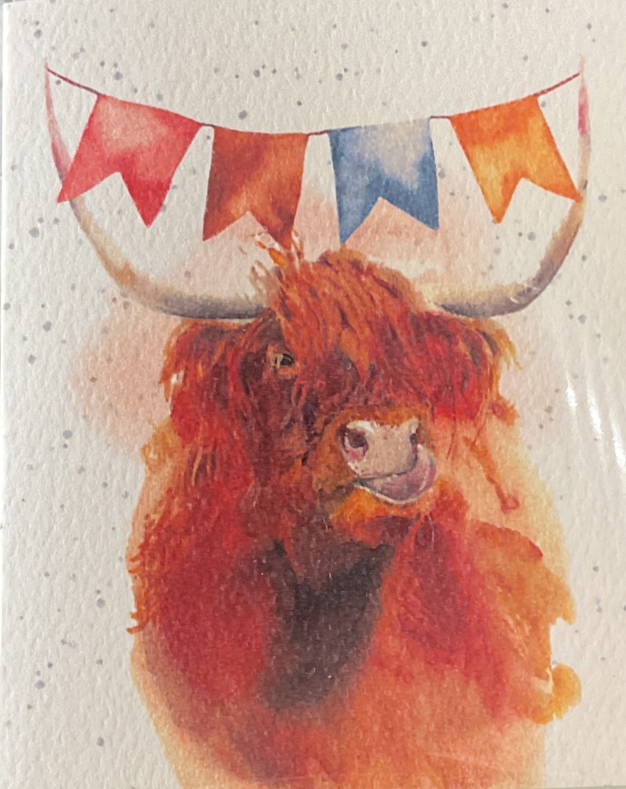 Holy Cow Enclosure Card