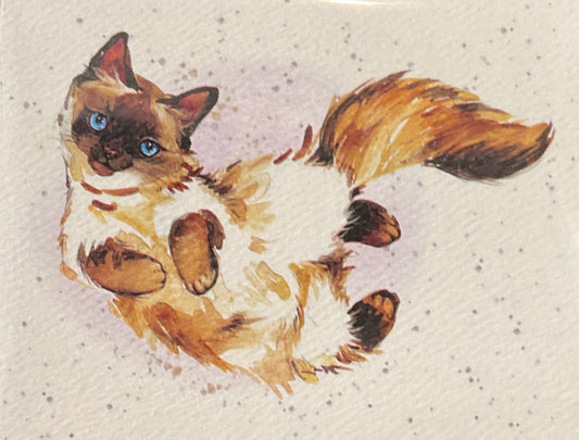 Caturday is for Cuddles Enclosure Card