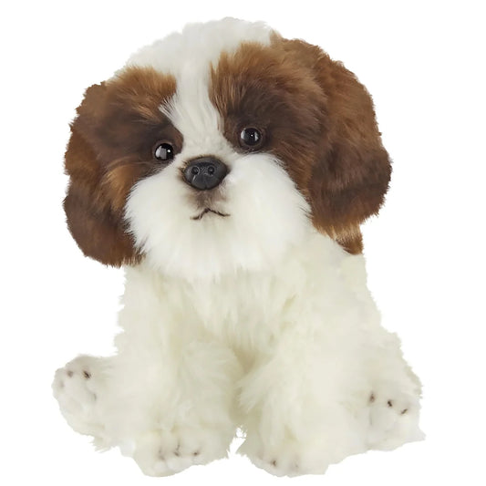 DOG - Bentley Shitzu