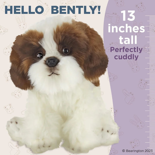 DOG - Bentley Shitzu