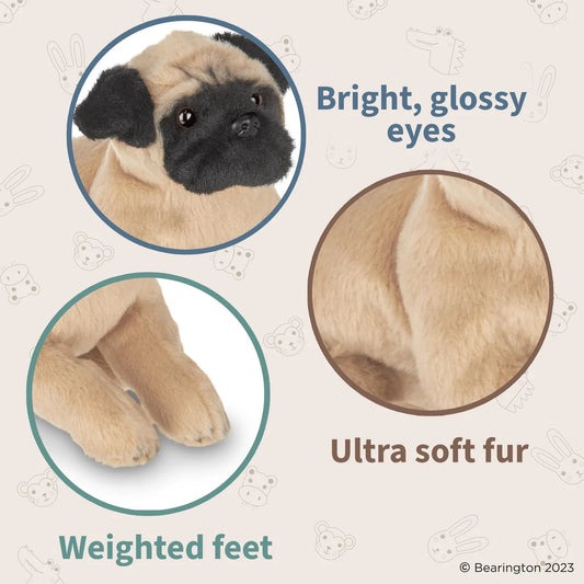 DOG - Pugsly (Pug)