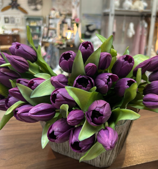 12” Fresh Touch Tulip - Purple