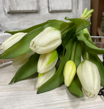 12" Fresh Touch Tulip Bundle - White Formosa