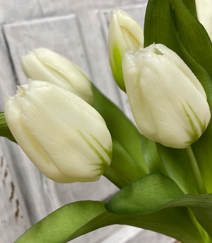 12" Fresh Touch Tulip Bundle - White Formosa