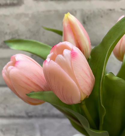 12" Fresh Touch Tulip Bundle - Dynasty Pink