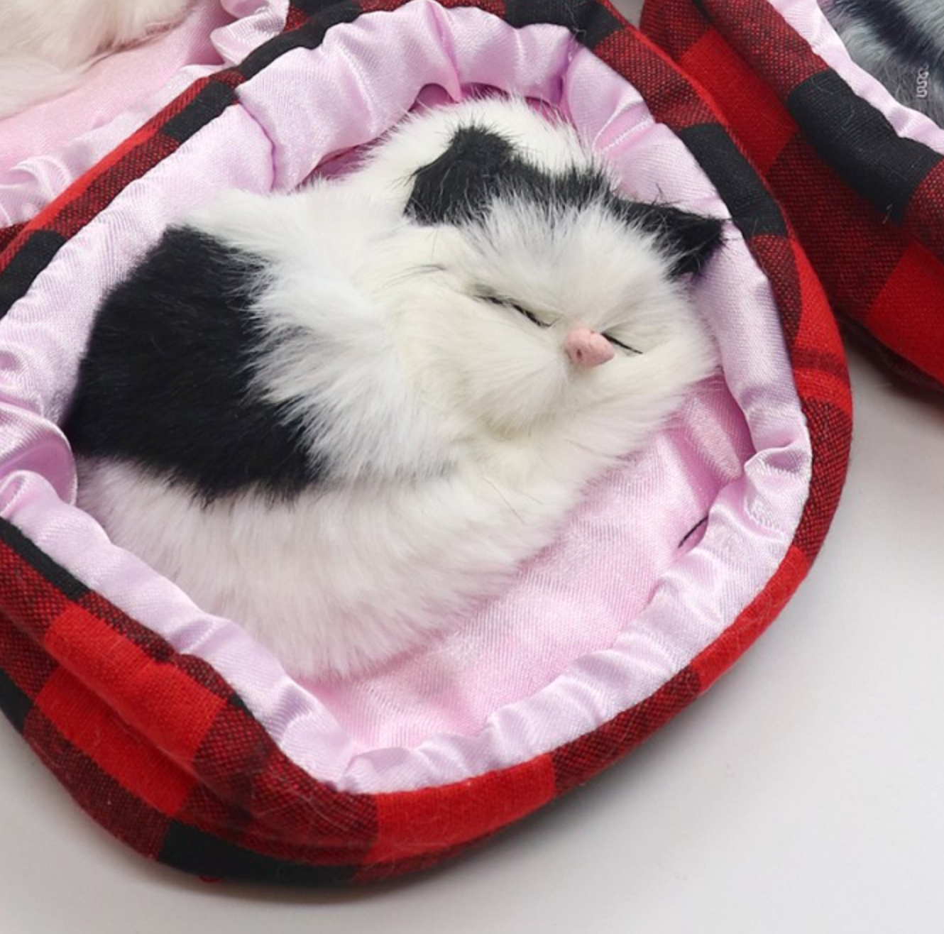 Sleeping Kitty In Bed