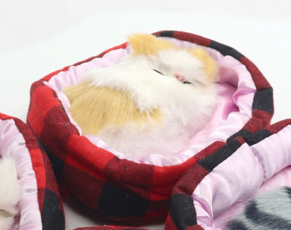 Sleeping Kitty In Bed