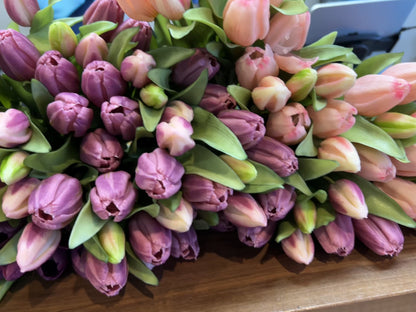 12” Fresh Touch Tulip - White